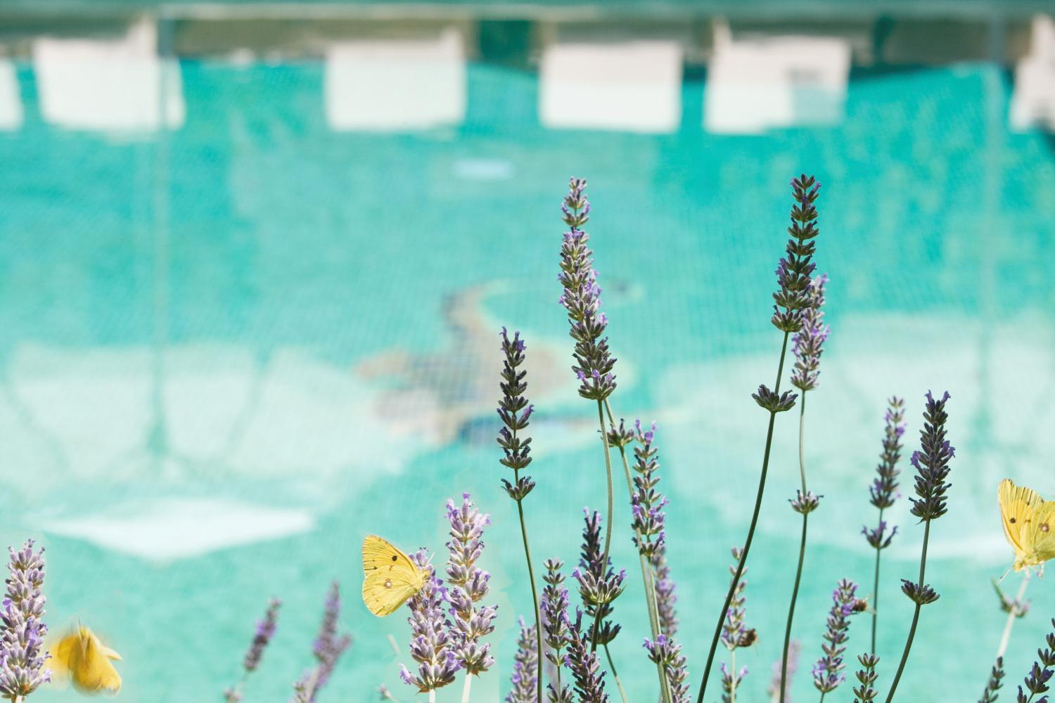 Hotel Apartament Sa Tanqueta De Fornalutx - Adults Only Εξωτερικό φωτογραφία